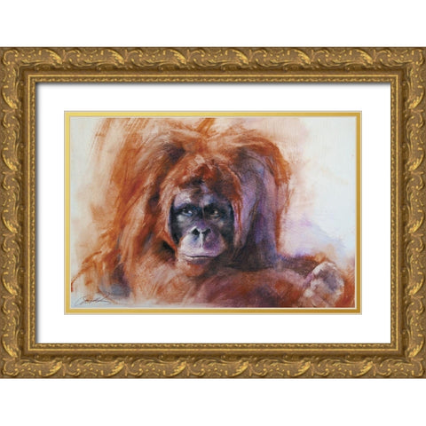 The Daydreamer Orangutan Gold Ornate Wood Framed Art Print with Double Matting by Campbell, Robert