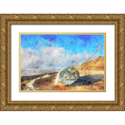Coastal Series #19 Gold Ornate Wood Framed Art Print with Double Matting by Curinga, Kim