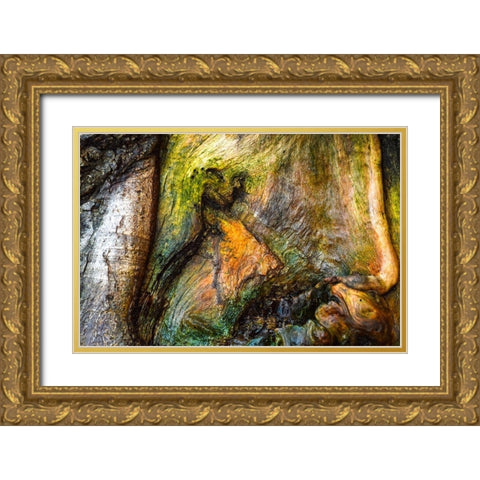 Dionysus Gold Ornate Wood Framed Art Print with Double Matting by Cooper, Helena