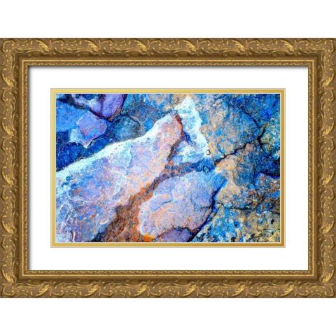 Tracking Gold Ornate Wood Framed Art Print with Double Matting by Cooper, Helena