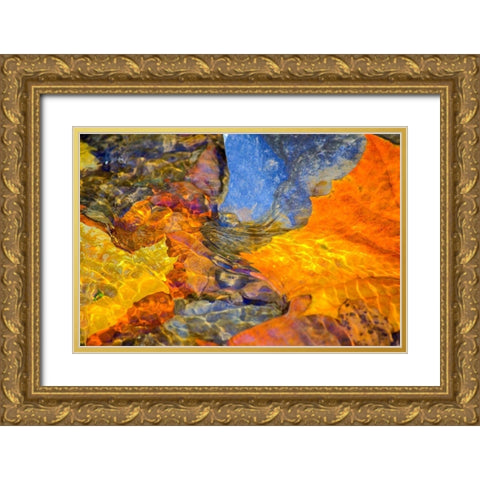 Undulations Gold Ornate Wood Framed Art Print with Double Matting by Cooper, Helena