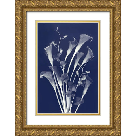 New Friends in Indigo Gold Ornate Wood Framed Art Print with Double Matting by Robertson, Leda