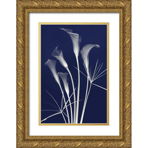 Elongated Elegance in Indigo Gold Ornate Wood Framed Art Print with Double Matting by Robertson, Leda