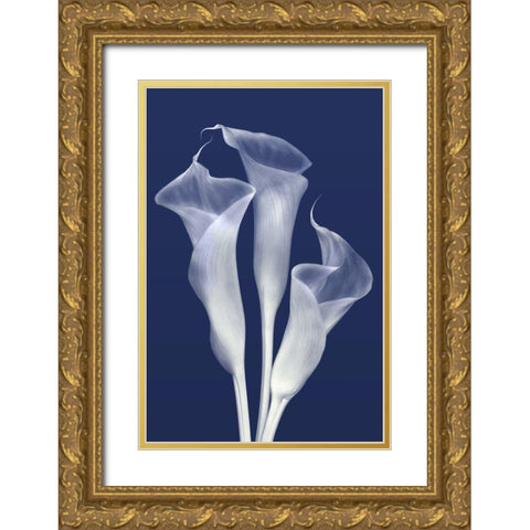 Sentinels of Light in Indigo Gold Ornate Wood Framed Art Print with Double Matting by Robertson, Leda