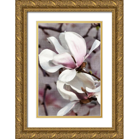 Petal Heaven II Gold Ornate Wood Framed Art Print with Double Matting by Robertson, Leda