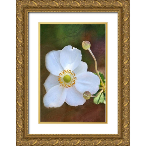 Playful Petals II Gold Ornate Wood Framed Art Print with Double Matting by Robertson, Leda