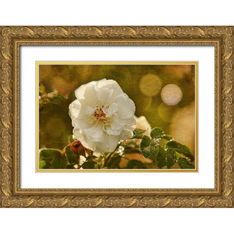 Adorned in Raindrops Gold Ornate Wood Framed Art Print with Double Matting by Robertson, Leda