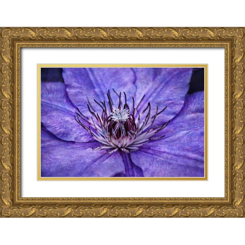 Inner Workings II Gold Ornate Wood Framed Art Print with Double Matting by Robertson, Leda