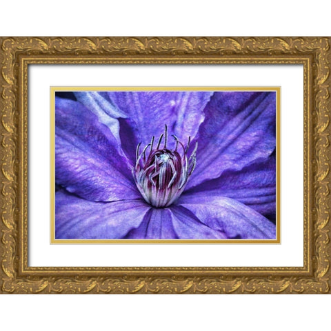 Intimate Unfolding Gold Ornate Wood Framed Art Print with Double Matting by Robertson, Leda