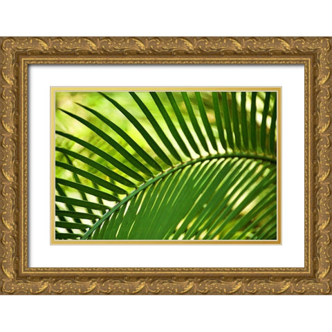 Leaf Abstraction IV Gold Ornate Wood Framed Art Print with Double Matting by Robertson, Leda