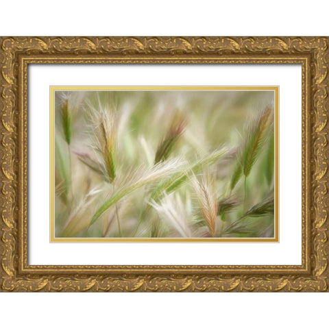 Spring Delight Gold Ornate Wood Framed Art Print with Double Matting by Robertson, Leda