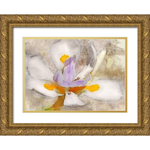 Blooming into Abstraction Gold Ornate Wood Framed Art Print with Double Matting by Robertson, Leda