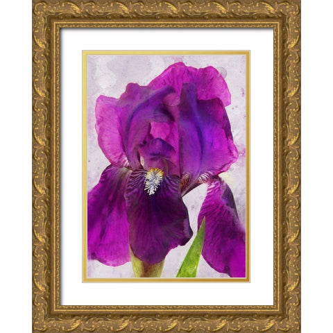 Natures Disarray Gold Ornate Wood Framed Art Print with Double Matting by Robertson, Leda