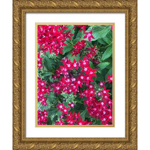 Fiery Red Gold Ornate Wood Framed Art Print with Double Matting by Orlov, Irena