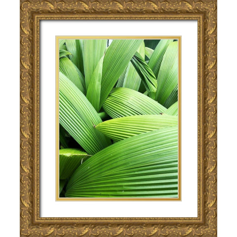 Monster Leaves I Gold Ornate Wood Framed Art Print with Double Matting by Orlov, Irena