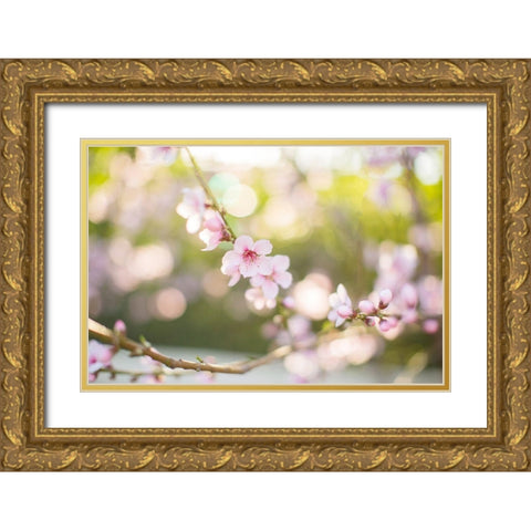 The Bloom of Peach Trees Gold Ornate Wood Framed Art Print with Double Matting by Orlov, Irena