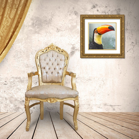 Toucan Portrait Gold Ornate Wood Framed Art Print with Double Matting by Vest, Christopher