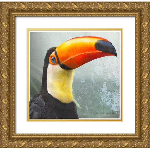Toucan Portrait Gold Ornate Wood Framed Art Print with Double Matting by Vest, Christopher