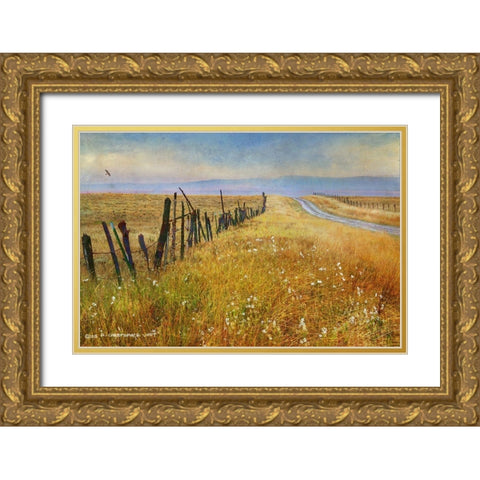 Quiet Road Out West Gold Ornate Wood Framed Art Print with Double Matting by Vest, Christopher