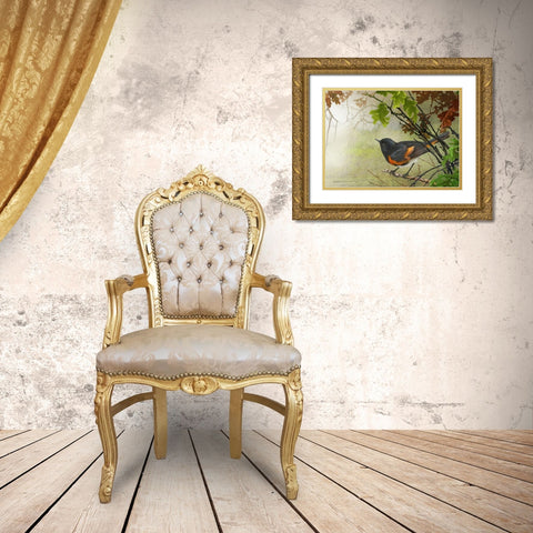 American Redstart Gold Ornate Wood Framed Art Print with Double Matting by Vest, Christopher