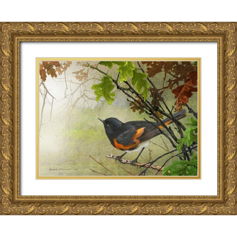 American Redstart Gold Ornate Wood Framed Art Print with Double Matting by Vest, Christopher