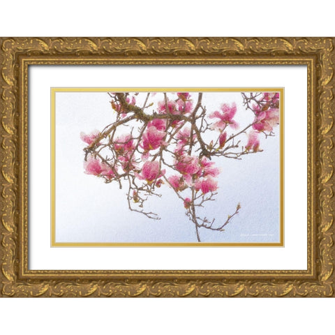 Painted Magnolia Gold Ornate Wood Framed Art Print with Double Matting by Vest, Christopher