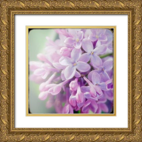 Innocence Gold Ornate Wood Framed Art Print with Double Matting by Stalus, Judy