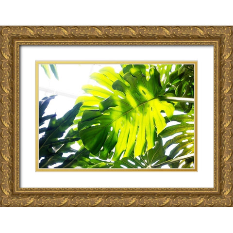 Tropics Gold Ornate Wood Framed Art Print with Double Matting by Stalus, Judy