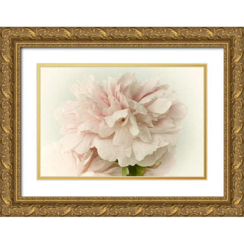 Soft Peony Gold Ornate Wood Framed Art Print with Double Matting by Stalus, Judy