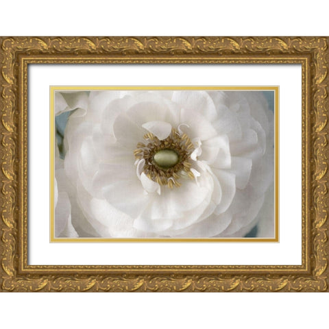 Golden Eye Gold Ornate Wood Framed Art Print with Double Matting by Stalus, Judy