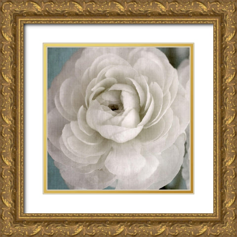 White Beauty Gold Ornate Wood Framed Art Print with Double Matting by Stalus, Judy