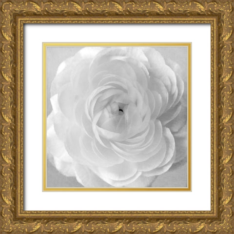 Snow Gold Ornate Wood Framed Art Print with Double Matting by Stalus, Judy