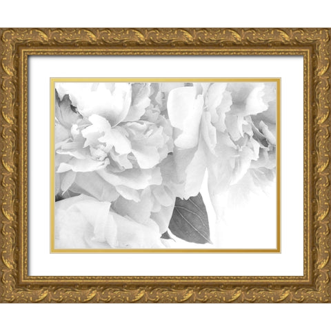 Peonies in White I Gold Ornate Wood Framed Art Print with Double Matting by Stalus, Judy