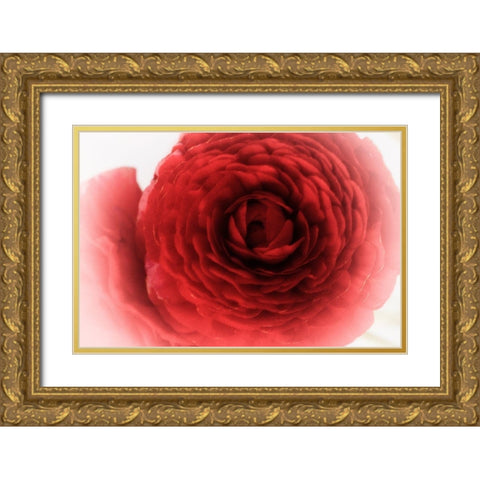 Velvet Gold Ornate Wood Framed Art Print with Double Matting by Stalus, Judy