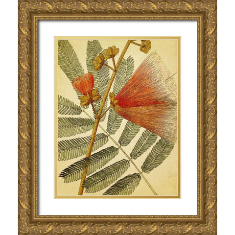 Botanical Grunge I Gold Ornate Wood Framed Art Print with Double Matting by Hunziker, Steve