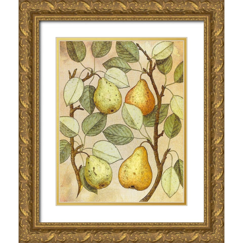 Botanical Grunge II Gold Ornate Wood Framed Art Print with Double Matting by Hunziker, Steve