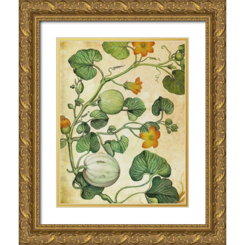 Botanical Grunge III  Gold Ornate Wood Framed Art Print with Double Matting by Hunziker, Steve