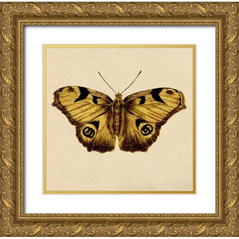 Golden Mariposa Gold Ornate Wood Framed Art Print with Double Matting by Surma, Agata