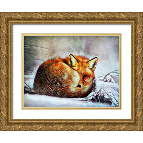 Red Fox Curl Up Gold Ornate Wood Framed Art Print with Double Matting by Aldridge, Ashley