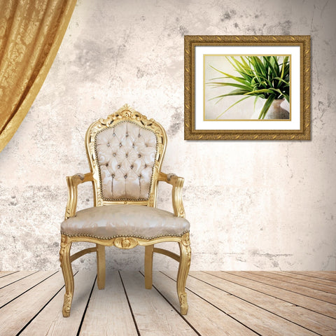 White Potted Plant Gold Ornate Wood Framed Art Print with Double Matting by Aldridge, Ashley