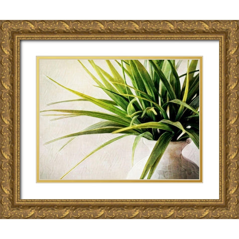 White Potted Plant Gold Ornate Wood Framed Art Print with Double Matting by Aldridge, Ashley