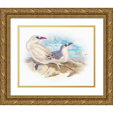 Sentimental Plumage I Gold Ornate Wood Framed Art Print with Double Matting by Hunziker, Steve