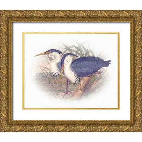 Sentimental Plumage III Gold Ornate Wood Framed Art Print with Double Matting by Hunziker, Steve