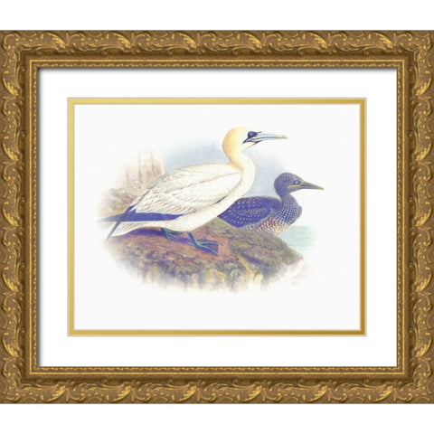 Sentimental Plumage VI Gold Ornate Wood Framed Art Print with Double Matting by Hunziker, Steve