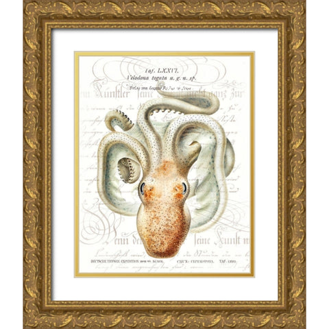 Octopus II Gold Ornate Wood Framed Art Print with Double Matting by Hunziker, Steve