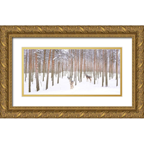 Wintry Partners Gold Ornate Wood Framed Art Print with Double Matting by Hunziker, Steve