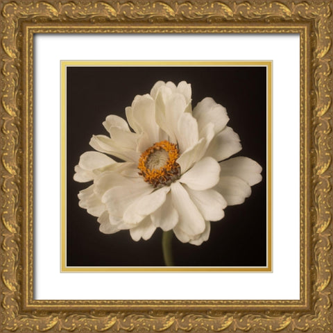 White Floral Portrait Gold Ornate Wood Framed Art Print with Double Matting by Maclean, Leah
