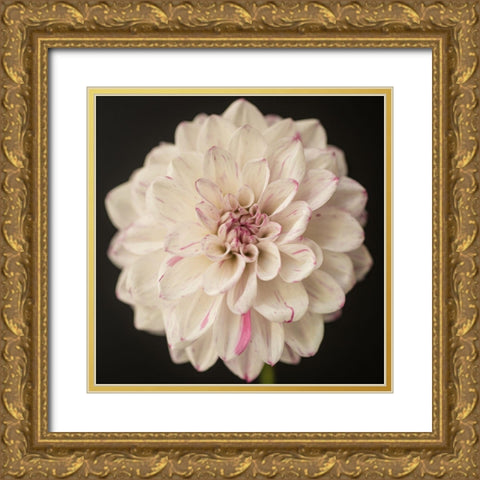 Lilac Speckles Gold Ornate Wood Framed Art Print with Double Matting by Maclean, Leah