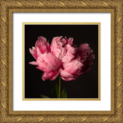 Perfect Peony Gold Ornate Wood Framed Art Print with Double Matting by Maclean, Leah