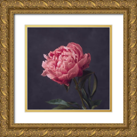 Perfectly Pink Gold Ornate Wood Framed Art Print with Double Matting by Maclean, Leah